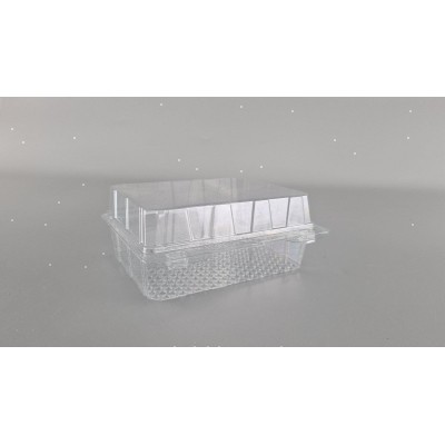 Контейнер пластиковый с откидной крышкой  АS-97/125/48 V=250 (50 шт)