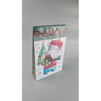Большой бумажные пакет вертикальный 25/37/8 новогодний -029 (12 шт)