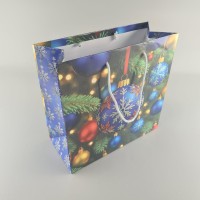 Пакеты бумажные подарочные , новогодние Квадрат 23*24*10- 02 (12 шт)