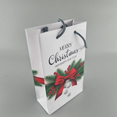 Пакеты новогодние ,бумажные ,подарочные , Малый 11/18/5 -004 (12 шт)