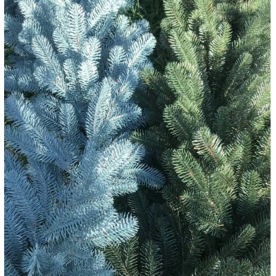 Искусственная литая елка Элит голубая, зелёная 2.10 м