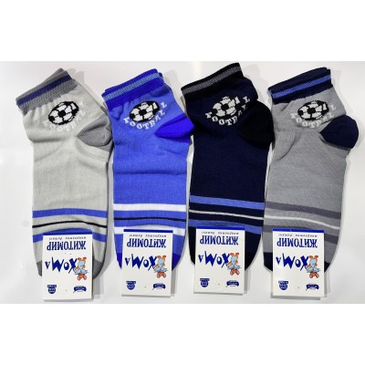 Детские демисезонные носки ЖИТОМИР, размер 22-24