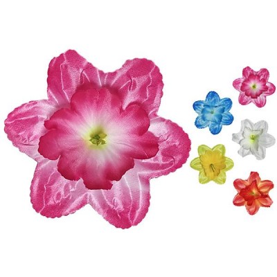 Нарцисс атлас , 14,5см