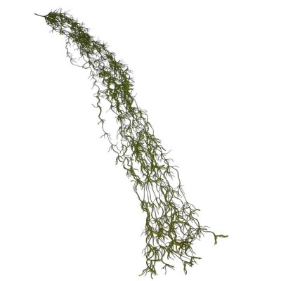 Лиана аспарагуса Паутинка, 120см Лиана аспарагуса Паутинка, 120см