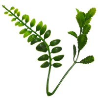 Веточка замиакулькас пластик, 12,5см