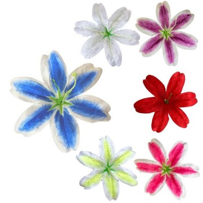 Лилия большая пятнистая, 19см Лилия большая пятнистая, 19см