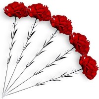 Гвоздика бархатная, 58см