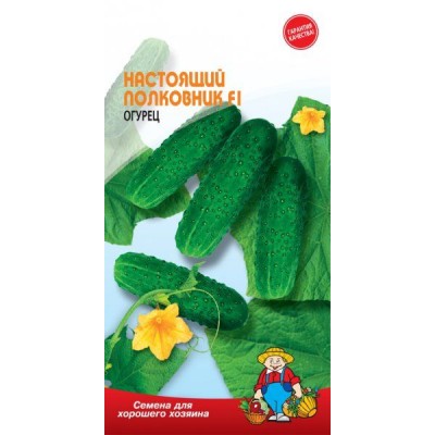 Семена Огурец НАСТОЯЩИЙ ПОЛКОВНИК F1 – 17-20 семян. Скороспелый Семена Огурец НАСТОЯЩИЙ ПОЛКОВНИК F1 – 17-20 семян. Скороспелый
