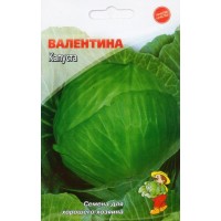 Семена Капуста ВАЛЕНТИНА – 1100-1400 семян