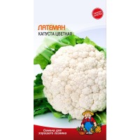 Семена Капуста ЦВЕТНАЯ ЛАТЕМАН – 0,5 г