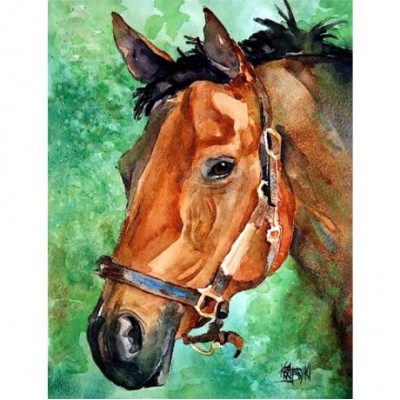 Картина по номерам 40х50 RA73528 в коробке, акриловые краски, new!