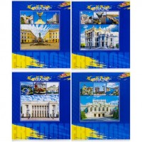 Тетрадь цветная 96 листов, ячейка 3573 N
