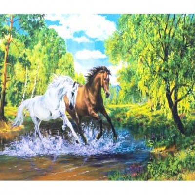 Алмазний живопис 40х50 GLE77478 у картонній коробці