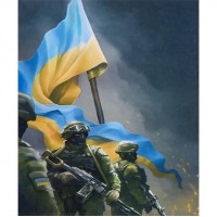 Алмазний живопис 40х50 IMAGE68 у картонній коробці