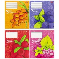 Зошит кольоровий 18 аркушів, клітинка 3858