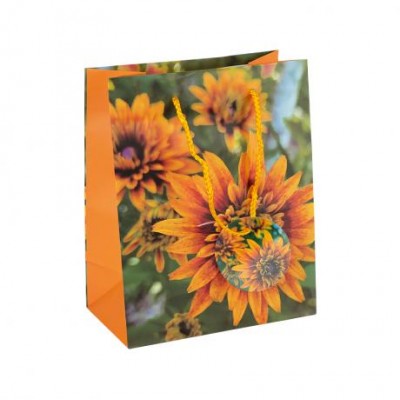 Пакет подарунковий 18х23х10 см  GB-24130