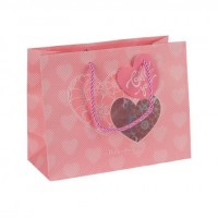 Пакет подарунковий 23х18х10см GB-24081