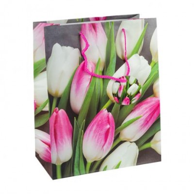 Пакет подарунковий 26х32х12 см GB-24155