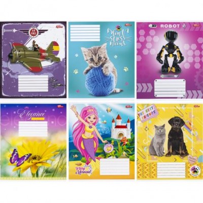 Тетрадь цветная 12 листов, коса с доп.линией "Мечты" "mix" Тетрадь цветная 12 листов, коса с доп.линией "Мечты" "mix"