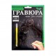 Гравюра А5 Danko Toys 210х148мм ГР-А5-01с