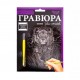Гравюра А5 Danko Toys 210х148мм ГР-А5-01с