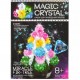 Набір для проведення дослідів MAGIC CRYSTAL  ОМС-01-01