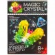 Набір для проведення дослідів MAGIC CRYSTAL  ОМС-01-01