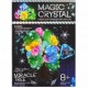 Набір для проведення дослідів MAGIC CRYSTAL  ОМС-01-01