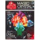 Набір для проведення дослідів MAGIC CRYSTAL  ОМС-01-01