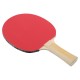 Ракетка для настольного тенниса Donic-Schildkrot Legends 150 FSC 705211 (Оригинал)