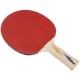 Ракетка для настольного тенниса Donic Appelgren 200 Original
