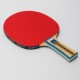 Ракетка для настольного тенниса Donic Appelgren 600 Original