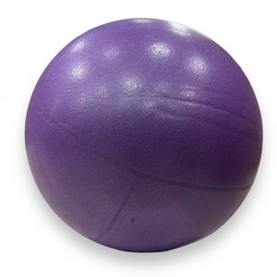 Мяч для пилатеса и йоги Pilates ball Mini Gemini 20cm фиолетовый