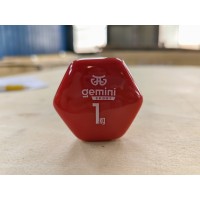 Гантель для фитнеса с виниловым покрытием 2шт по 1.0кг Gemini Sport GSD-1.0RED