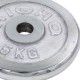 Блины (диски) хромированные GA-1431-5K 30мм 5кг