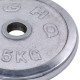 Блины (диски) хромированные GA-1452-15P 52мм 15кг