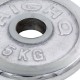 Блины (диски) хромированные GA-1450-5P 52мм 5кг