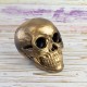 Череп светильник настольный S 13296 (золото антик)