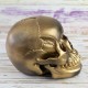 Череп копилка M 13293 (золото антик) Череп копилка M 13293 (золото антик)