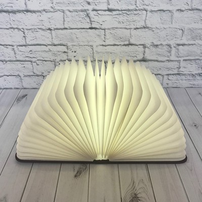 Светильник Книга 3Д (темное дерево) Светильник Книга 3Д (темное дерево)