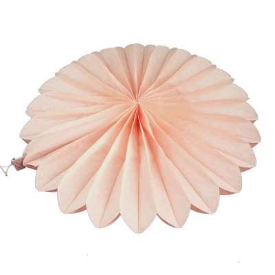 Веерный круг (тишью) 25см (персиковый 0012) Веерный круг (тишью) 25см (персиковый 0012)