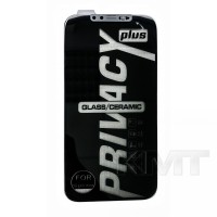 Защитное стекло Privacy 3D iPhone 12 Pro Max (Black)