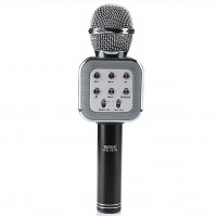 Микрофон DM Karaoke WS 1818