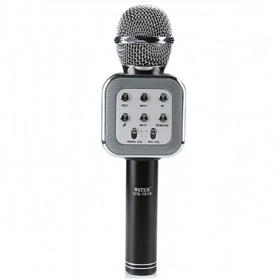 Микрофон DM Karaoke WS 1818