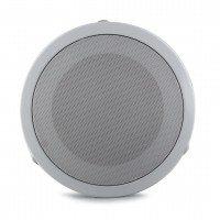 Потолочные динамики (колонки) CS 8500