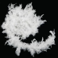 Боа из перьев 40г (белое)