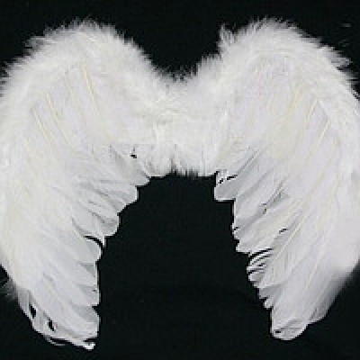 Крылья Ангела Гигант 55х80 см (белые)