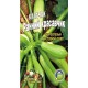 Семена Кабачок Ранний красавчик 40сем. Семена Кабачок Ранний красавчик 40сем.