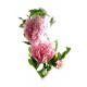 Цветы "Пион"  (105 см) код 26420