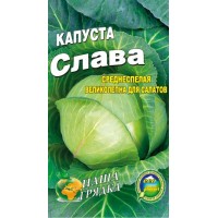 Семена  Капуста  Слава Среднеспелый высокоурожайный сорт. 100сем.